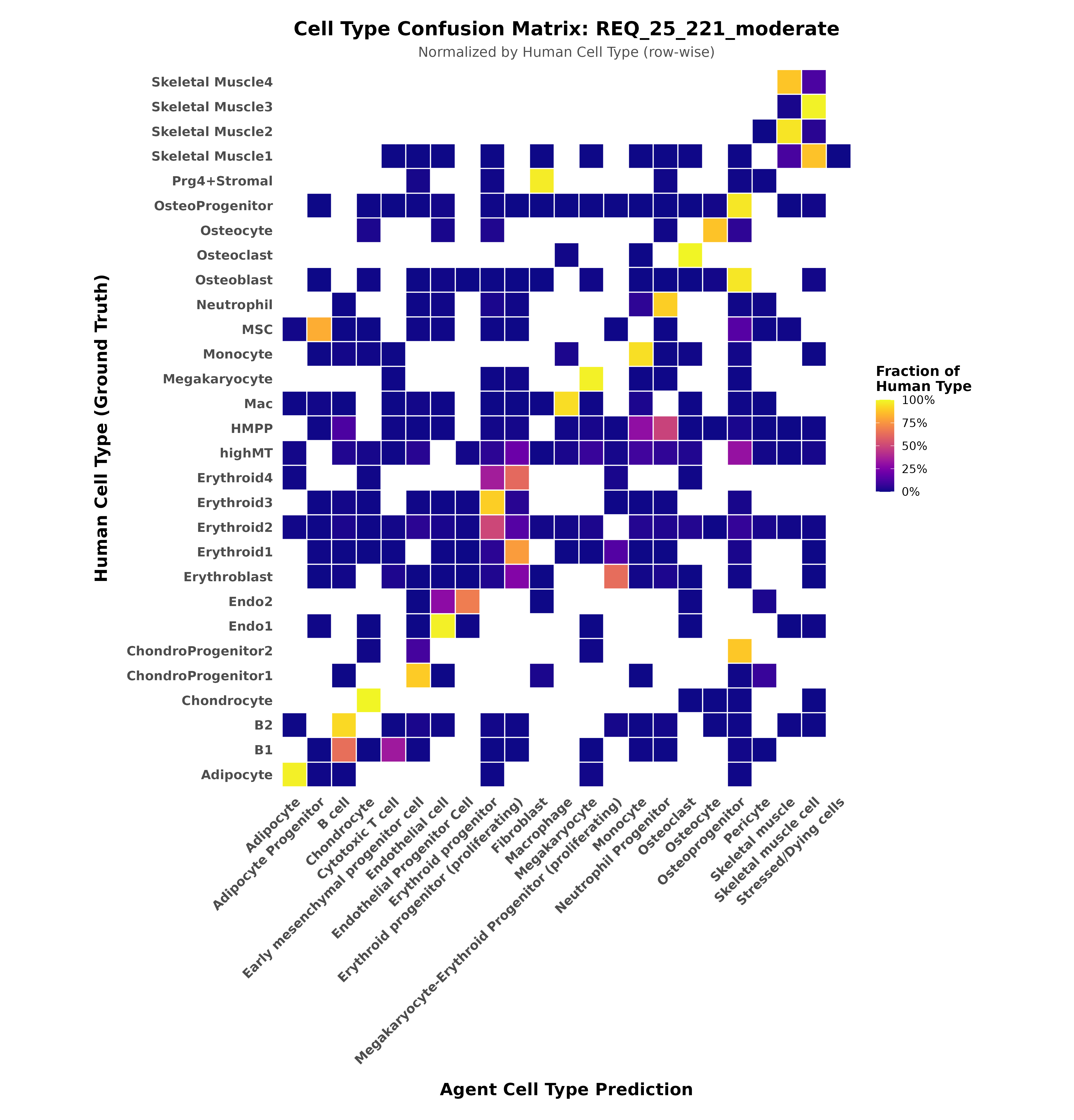 Confusion Matrix
