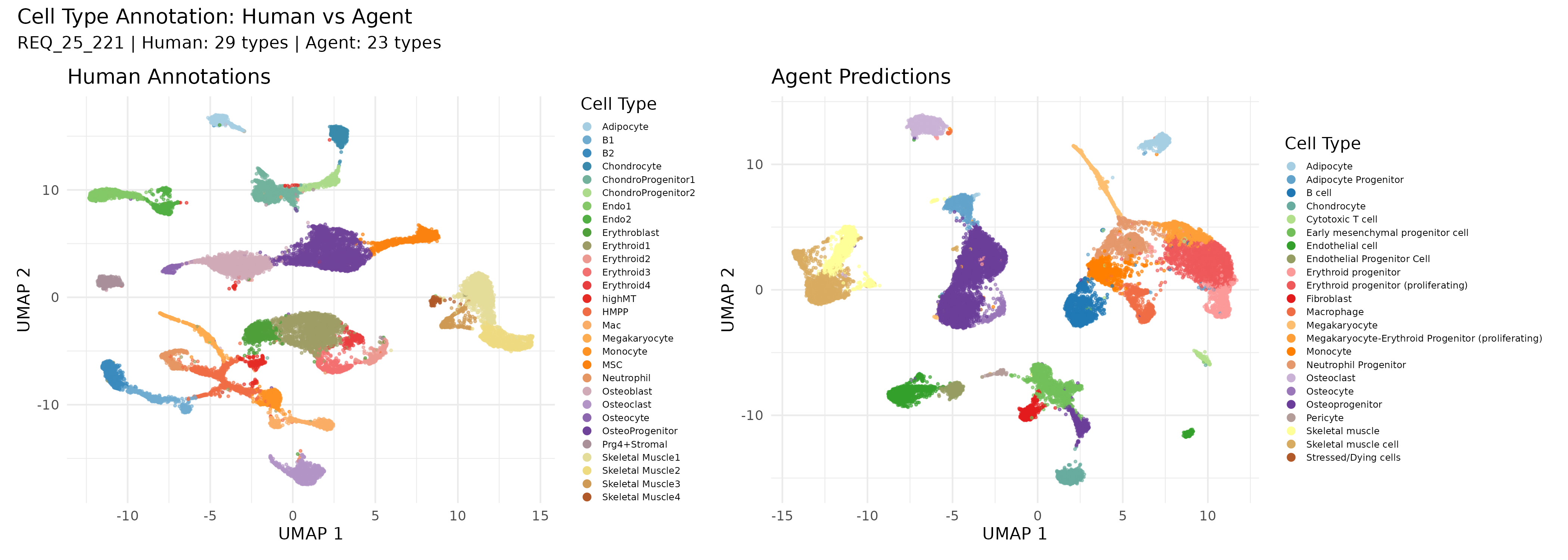 UMAP Comparison